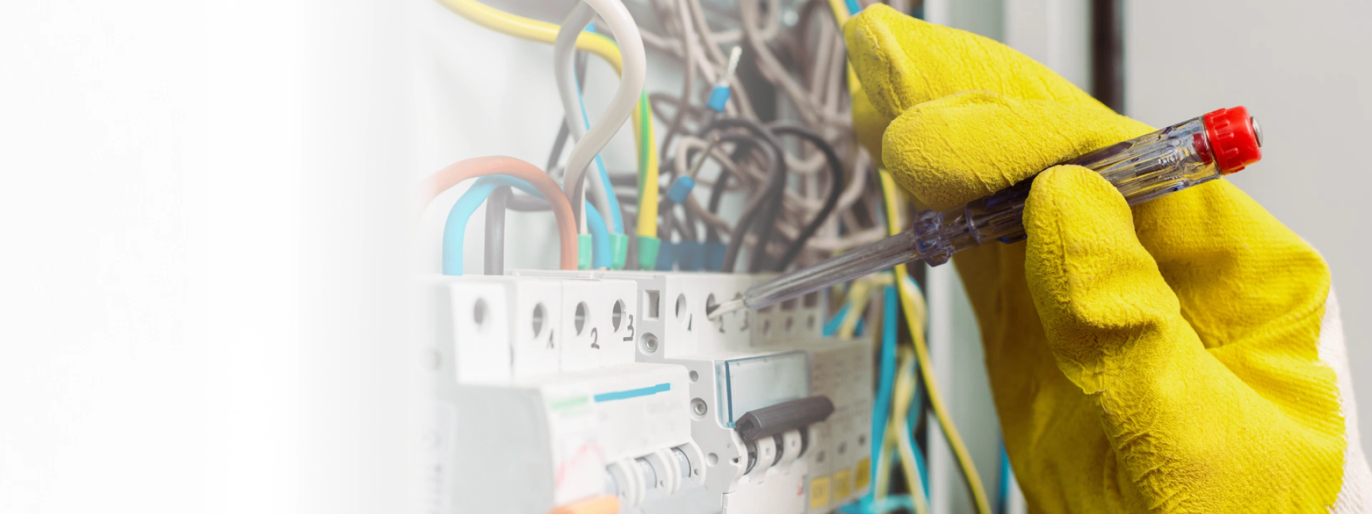 What We Do Background